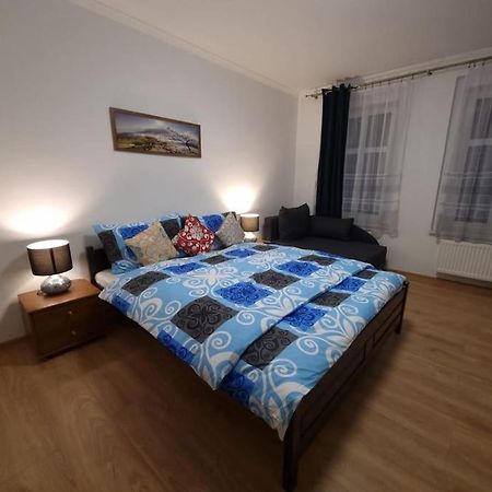 Apartman V Krusnych Horach-Free Parking Διαμέρισμα Jachymov Εξωτερικό φωτογραφία