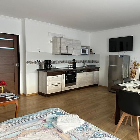 Apartman V Krusnych Horach-Free Parking Διαμέρισμα Jachymov Εξωτερικό φωτογραφία