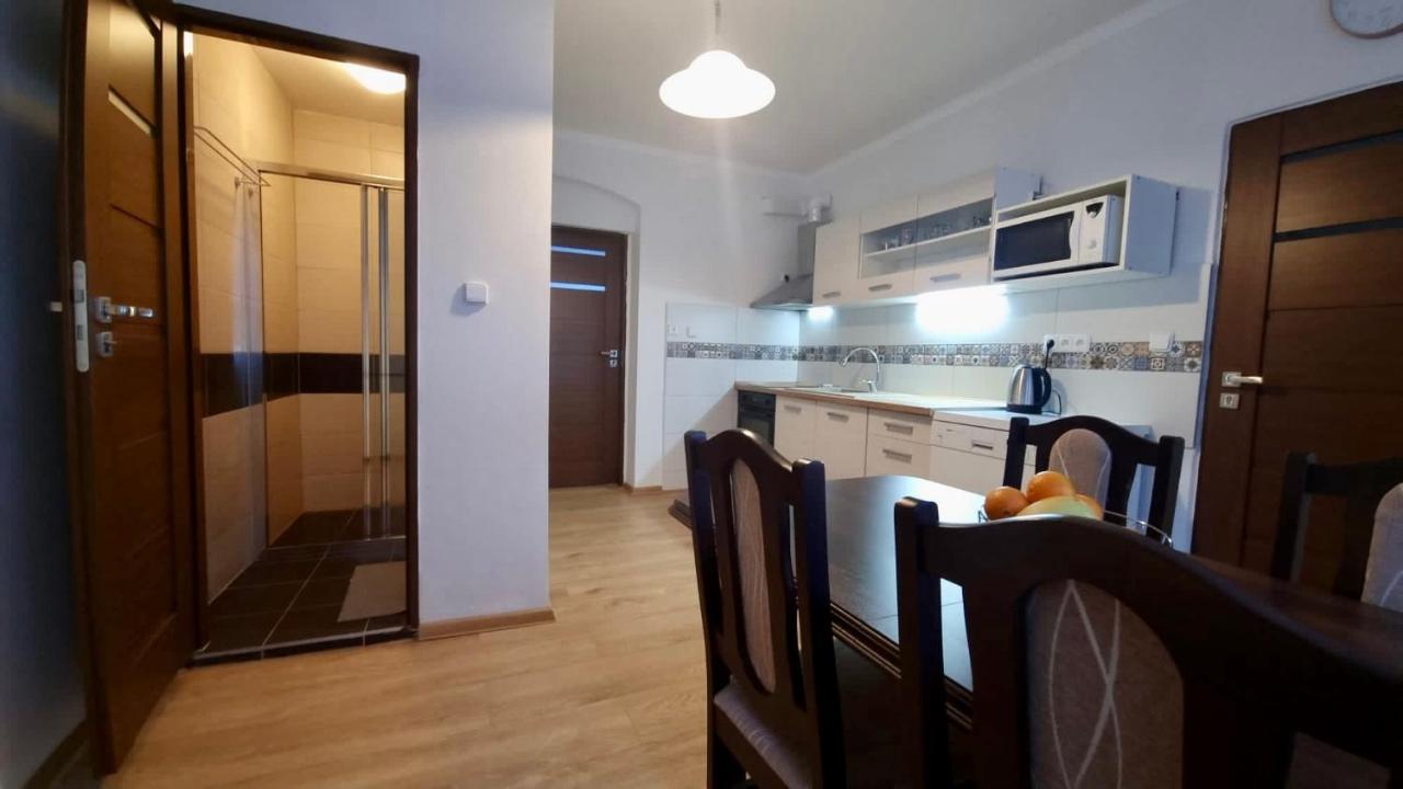 Apartman V Krusnych Horach-Free Parking Διαμέρισμα Jachymov Εξωτερικό φωτογραφία