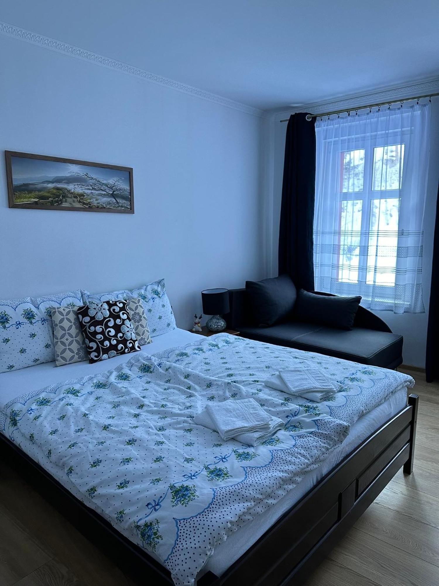 Apartman V Krusnych Horach-Free Parking Διαμέρισμα Jachymov Εξωτερικό φωτογραφία