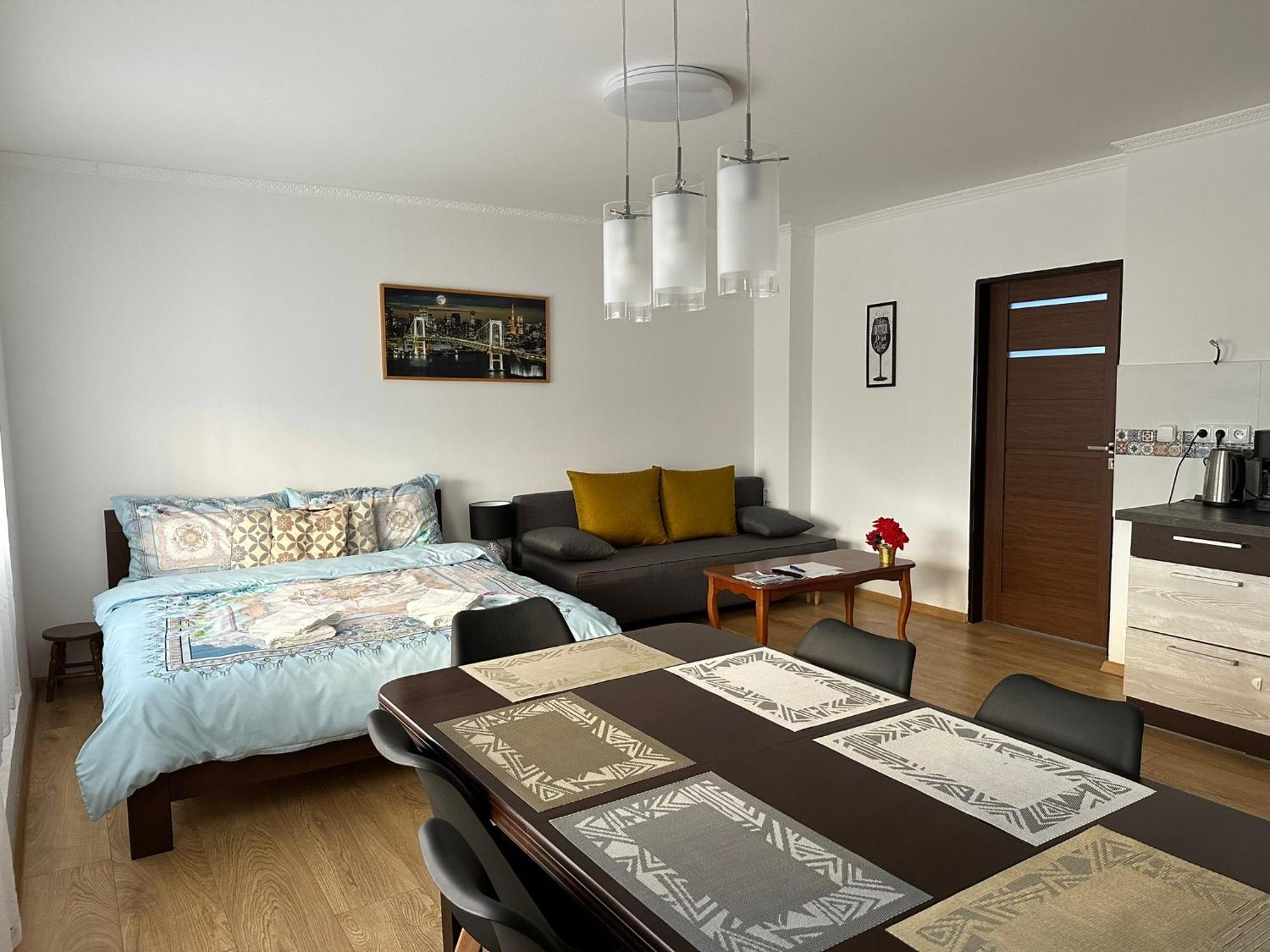 Apartman V Krusnych Horach-Free Parking Διαμέρισμα Jachymov Εξωτερικό φωτογραφία