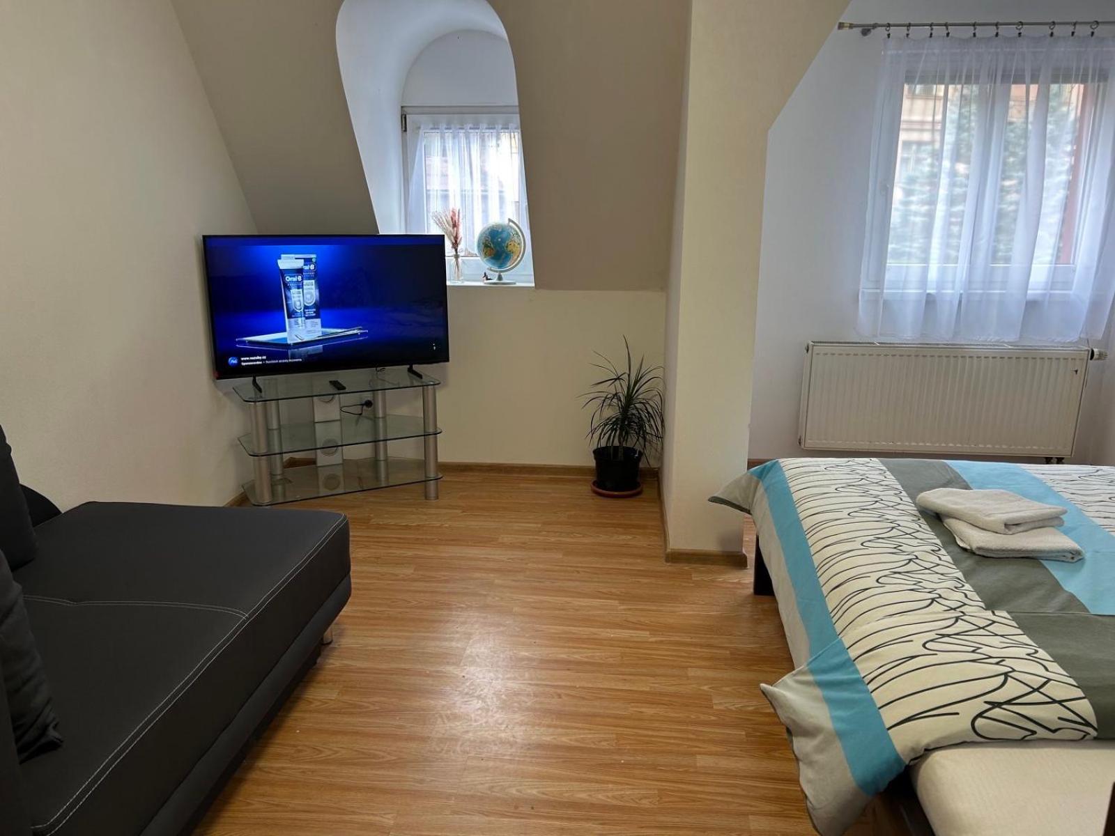 Apartman V Krusnych Horach-Free Parking Διαμέρισμα Jachymov Εξωτερικό φωτογραφία